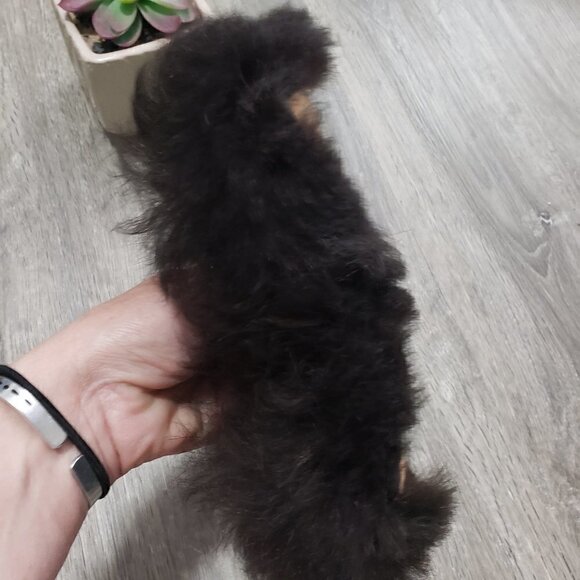 Rochas Toscana Fur Sling Back Flats 38 Pointy Toe - Picture 7 of 9